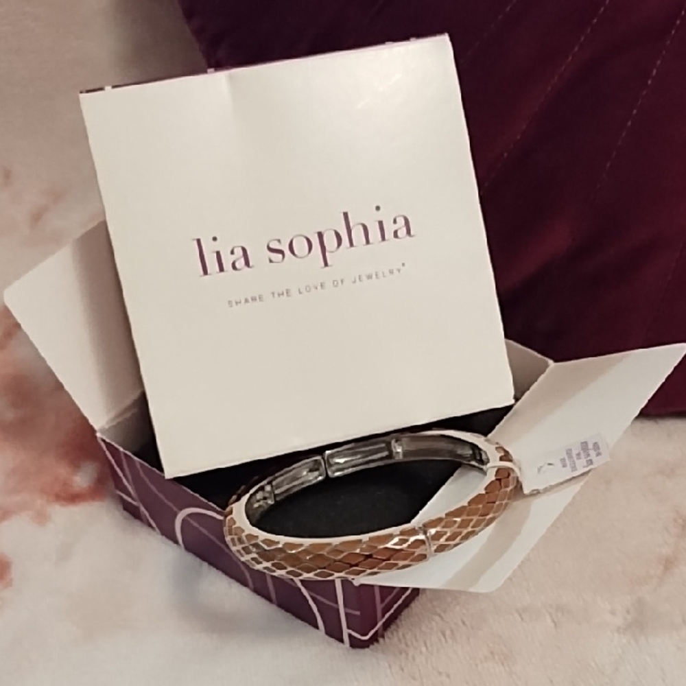 Lia Sophia Silver Burnt Orange Bracelet